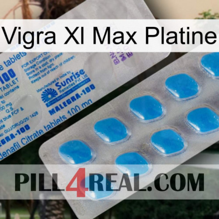 Vigra Xl Max Platinum new15